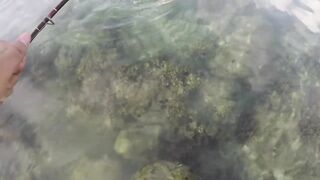 Sogod Cebu быстрая рыбалка на воблеры пока обкатываем скутер брата