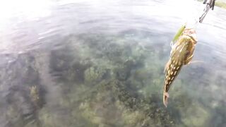 Sogod Cebu быстрая рыбалка на воблеры пока обкатываем скутер брата