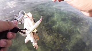 Sogod Cebu быстрая рыбалка на воблеры пока обкатываем скутер брата