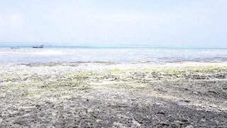 Пляжи Занзибара Michamvi подробный обзор пляжа отелей и как отливы меняют картинку моря