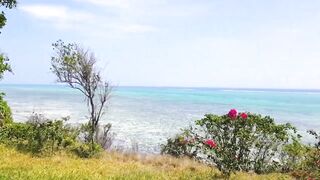 Пляжи Занзибара Michamvi подробный обзор пляжа отелей и как отливы меняют картинку моря