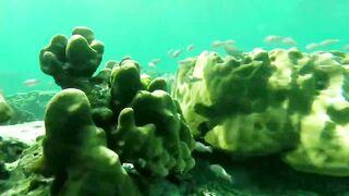 Экскурсия на Ko Rok и Ko Ha из Krabi один день на островах цены отзывы и есть ли тут рыбалка