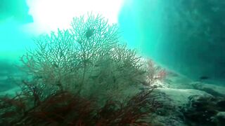 Экскурсия на Ko Rok и Ko Ha из Krabi один день на островах цены отзывы и есть ли тут рыбалка