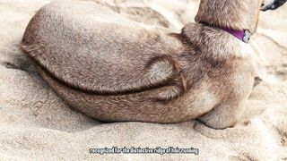 Phu Quoc Vietnam остров курорт море пляжи и стоит ли планировать здесь рыбалку