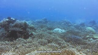 Phu Quoc Vietnam остров курорт море пляжи и стоит ли планировать здесь рыбалку