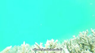 Phu Quoc Vietnam остров курорт море пляжи и стоит ли планировать здесь рыбалку