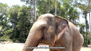 Phu Quoc Vietnam остров курорт море пляжи и стоит ли планировать здесь рыбалку