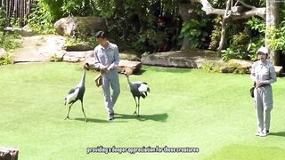 Phu Quoc Vietnam остров курорт море пляжи и стоит ли планировать здесь рыбалку