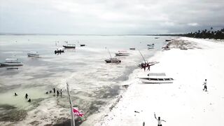 Занзибар, остров Mnemba рай для снорклинга с черепахами и цветными рыбами у рифа