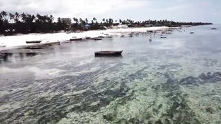 Занзибар, остров Mnemba рай для снорклинга с черепахами и цветными рыбами у рифа