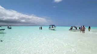 Занзибар, остров Mnemba рай для снорклинга с черепахами и цветными рыбами у рифа