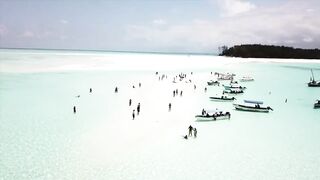 Занзибар, остров Mnemba рай для снорклинга с черепахами и цветными рыбами у рифа