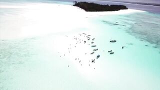 Занзибар, остров Mnemba рай для снорклинга с черепахами и цветными рыбами у рифа