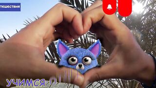 Пляжи Занзибара Uroa худший пляж обзор региона отелей рынка и расписания приливов