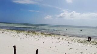 Пляжи Занзибара Uroa худший пляж обзор региона отелей рынка и расписания приливов