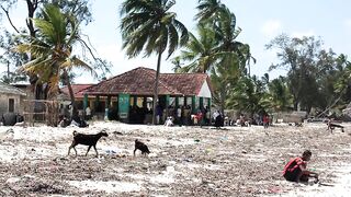 Пляжи Занзибара Uroa худший пляж обзор региона отелей рынка и расписания приливов