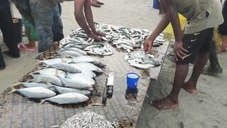 Пляжи Занзибара Uroa худший пляж обзор региона отелей рынка и расписания приливов