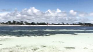 Пляжи Занзибара Uroa худший пляж обзор региона отелей рынка и расписания приливов