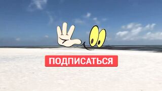 Пляжи Занзибара Uroa худший пляж обзор региона отелей рынка и расписания приливов