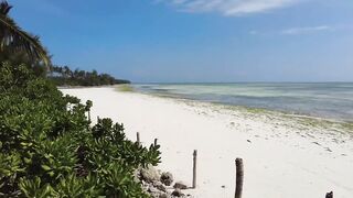 Пляжи Занзибара Uroa худший пляж обзор региона отелей рынка и расписания приливов