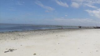 Занзибар отлив на пляже Nungwi еда у берега и свежая рыба прямо с лодок