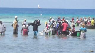 Занзибар отлив на пляже Nungwi еда у берега и свежая рыба прямо с лодок