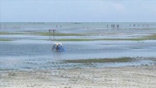 Занзибар отлив на пляже Nungwi еда у берега и свежая рыба прямо с лодок