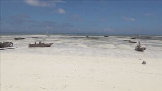 Занзибар отлив на пляже Nungwi еда у берега и свежая рыба прямо с лодок