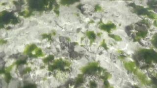 Занзибар отлив на пляже Nungwi еда у берега и свежая рыба прямо с лодок