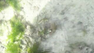 Занзибар отлив на пляже Nungwi еда у берега и свежая рыба прямо с лодок