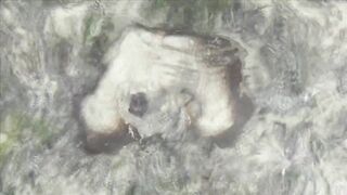 Занзибар отлив на пляже Nungwi еда у берега и свежая рыба прямо с лодок