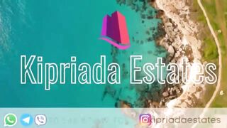 Путешествие на Карпас Северный Кипр дорога ослики монастыри и дикие пляжи