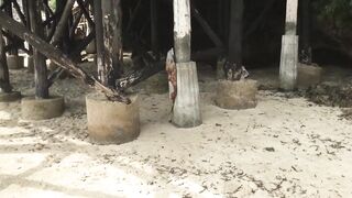 Zanzibar 2020 Chwaka Bay Beach Boys местные дилеры экскурсии и цены прямо на берегу