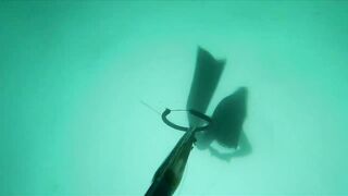 Подводная охота Ancon Lima Peru Playa Santa Rosa с братьями и трофейной рыбой