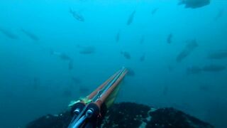 Подводная охота Ancon Lima Peru Playa Santa Rosa с братьями и трофейной рыбой