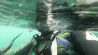 Подводная охота Ancon Lima Peru Playa Santa Rosa с братьями и трофейной рыбой