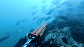 Подводная охота Ancon Lima Peru Playa Santa Rosa с братьями и трофейной рыбой