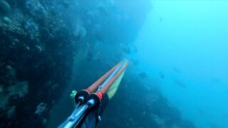 Подводная охота Ancon Lima Peru Playa Santa Rosa с братьями и трофейной рыбой