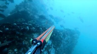 Подводная охота Ancon Lima Peru Playa Santa Rosa с братьями и трофейной рыбой