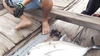 Fishing Bigfish Cu Lao Cham Island Da Nang Viet Nam день морской рыбалки с крупной рыбой у острова