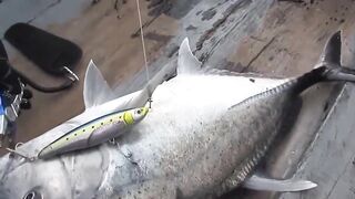 Fishing Bigfish Cu Lao Cham Island Da Nang Viet Nam день морской рыбалки с крупной рыбой у острова