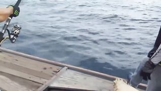 Fishing Bigfish Cu Lao Cham Island Da Nang Viet Nam день морской рыбалки с крупной рыбой у острова