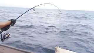 Fishing Bigfish Cu Lao Cham Island Da Nang Viet Nam день морской рыбалки с крупной рыбой у острова