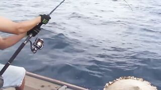 Fishing Bigfish Cu Lao Cham Island Da Nang Viet Nam день морской рыбалки с крупной рыбой у острова