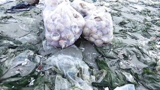 Mui Ne Fishing Village - рыбацкая деревня Phan Thiet во Вьетнаме на рассвете