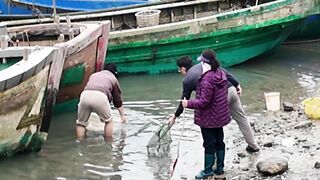 Небольшая рыбацкая деревня на Hainan Island рынок Dongshuigang и свежая рыба с утра