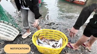 Небольшая рыбацкая деревня на Hainan Island рынок Dongshuigang и свежая рыба с утра