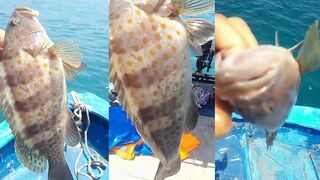 Морская рыбалка в Sanya - удивительный улов крупной рыбы и встреча с пятнистым гигантом в Южно Китайском море