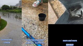 Рыбалка в Sanya прогулка с удочкой по набережной и первые поклевки прямо в пределах большого китайского курорта