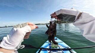 На берегу Sanya поймал рыбу фугу первая осторожная рыбалка на море и много эмоций от необычного улова